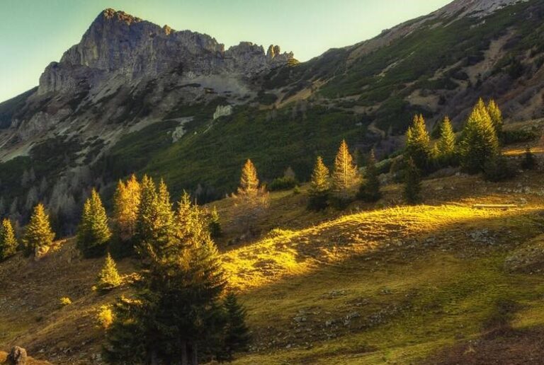 46108101 2135778186502912 1494408663480139776 n.jpg